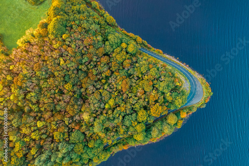 Photography Autumn trees in Ireland
