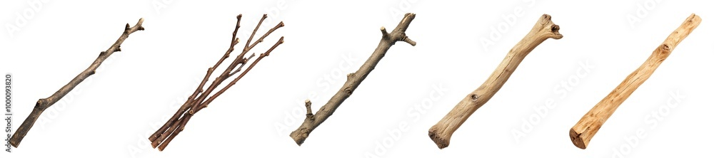 Wooden stick branch set isolated Png, transparent without background. Wooden stick branch set isolated Png, transparent without background.