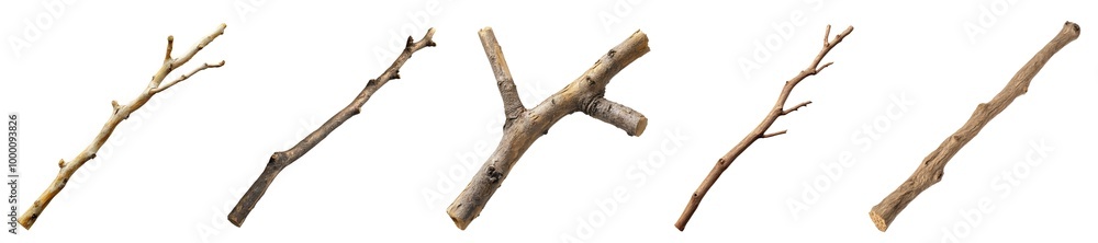 Wooden stick branch set isolated Png, transparent without background. Wooden stick branch set isolated Png, transparent without background.