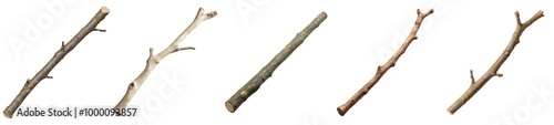 Wooden stick branch set isolated Png, transparent without background.