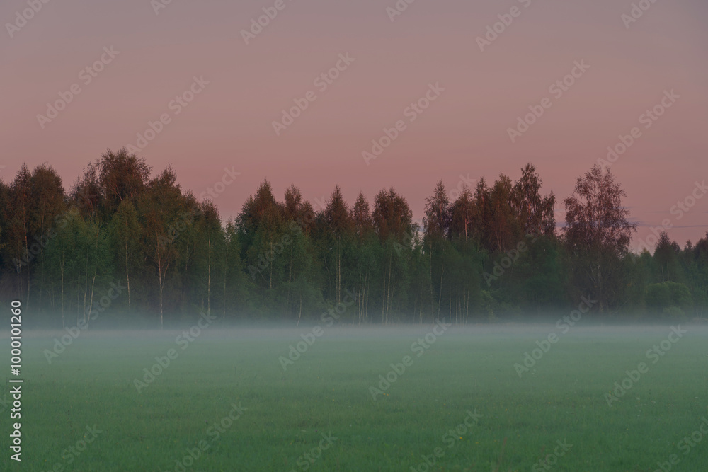 Fototapeta premium agricultural field with mown ears, dirt road to the forest