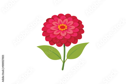  Zinnia flower vector artwork illustration 