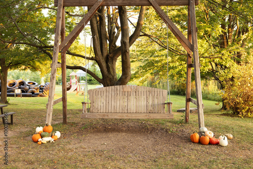 Wooden Swing and Pumpkins at Farm photo