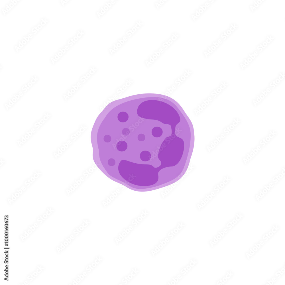Neutrophil illustration Neutrophil illustration
