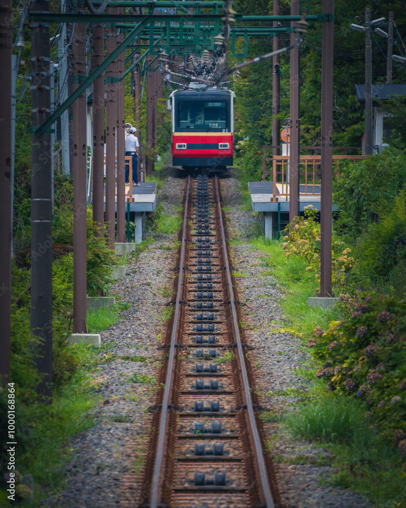 Fototapeta premium まっすぐな線路を走るローカルな電車