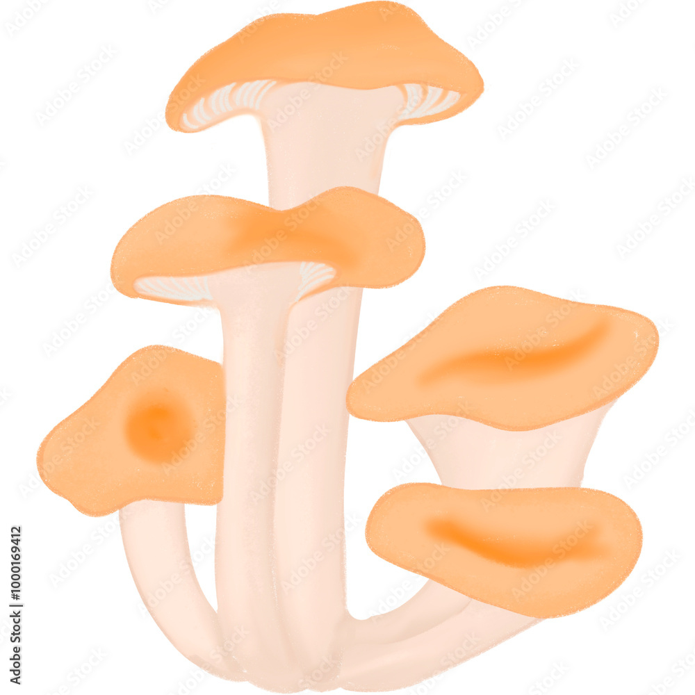 Mushroom Autumn Clipart Illustration Mushroom Autumn Clipart Illustration