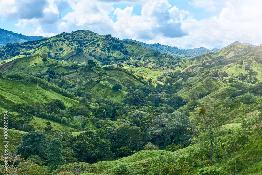 Fototapeta premium hills full of trees and grass with mountains and clouds in the background