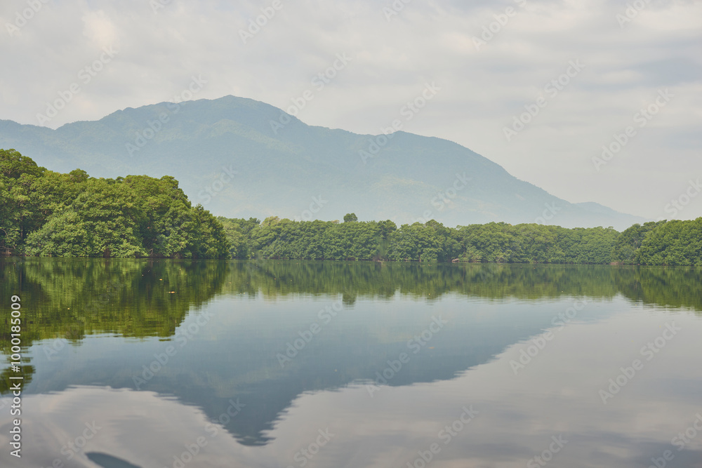 Beautiful lagoon full of green vegetation, background of mountains that are reflected in the lagoon Beautiful lagoon full of green vegetation, background of mountains that are reflected in the lagoon