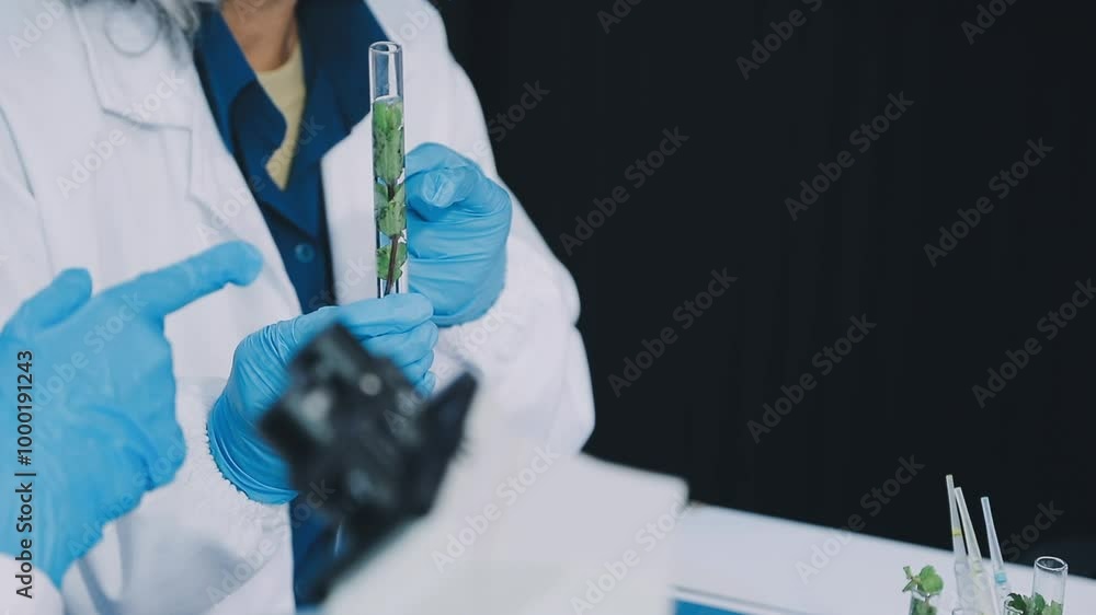 asian scientist team has researching about soybean in the laboratory asian scientist team has researching about soybean in the laboratory