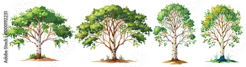 bushy design And a Green tree