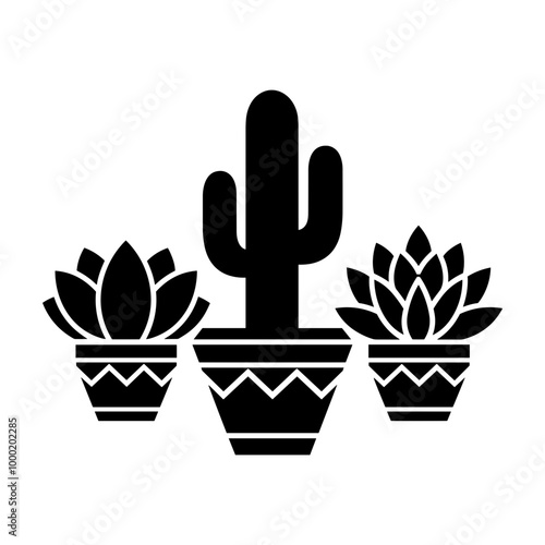 Cactus and Succulents