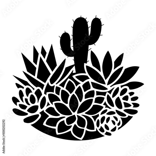 Cactus and Succulents