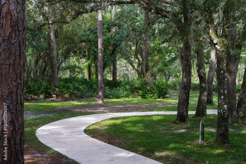  Lettuce Lake Conservation Park Hillsborough County Florida USA