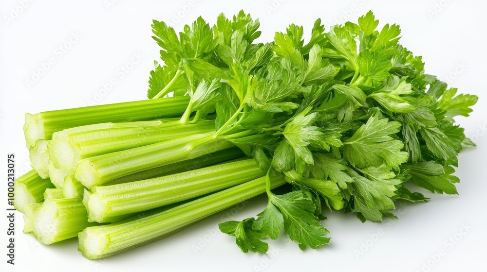 Fresh bundle of celery stalks with succulent green leaves on white background is vibrant in color and nutritional value as healthy vegetable Fresh bundle of celery stalks with succulent green leaves on white background is vibrant in color and nutritional value as healthy vegetable