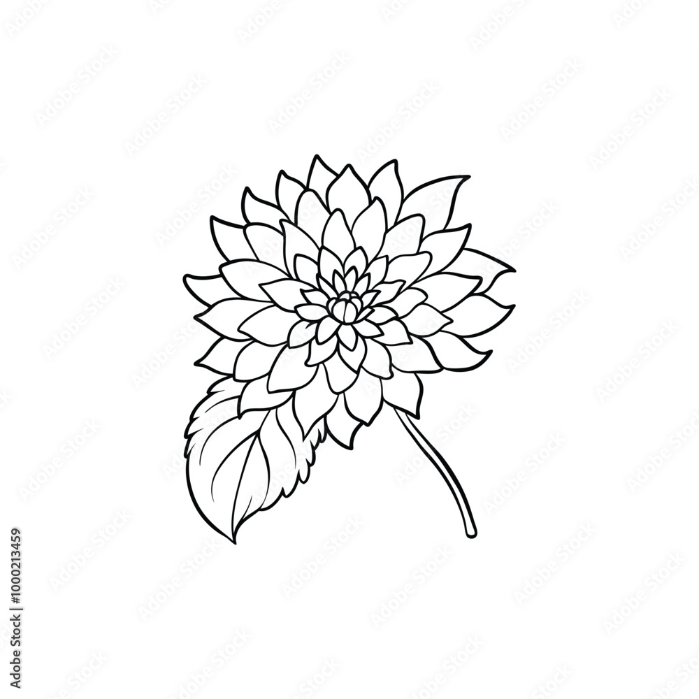 Flowers chrysanthemum vector. Flowers chrysanthemum vector.