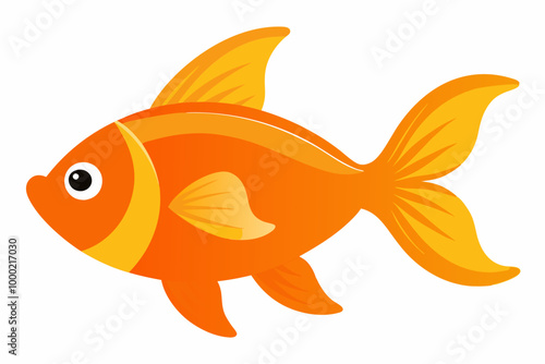 Goldfish vector illustration on a white background