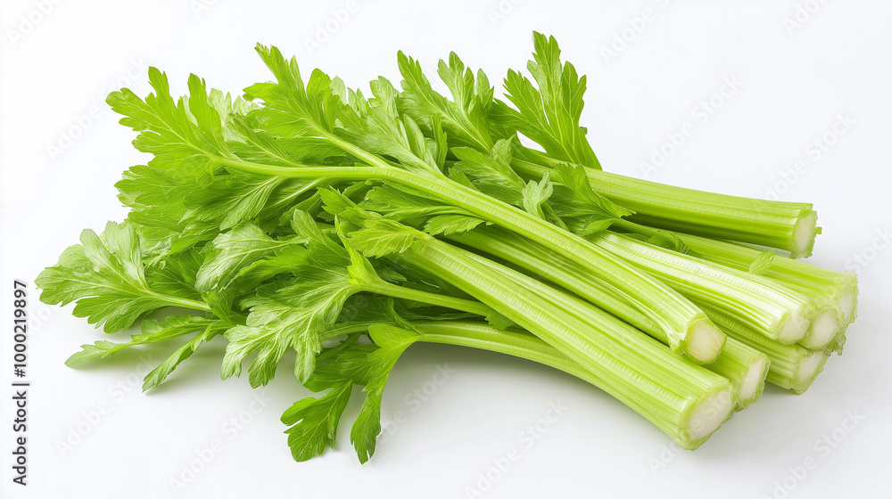 Fresh Green Celery Stalks on Clean White Background Fresh Green Celery Stalks on Clean White Background