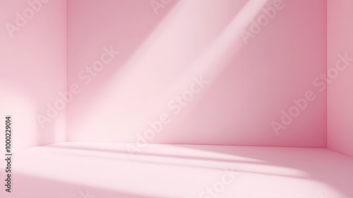 Light Pink Studio Background