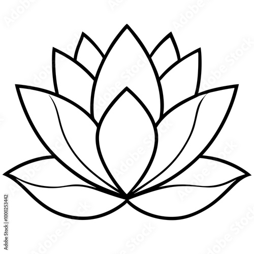 lotus flower vector