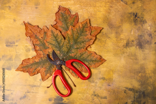 Garden Shears Pruners on Fall Leaves