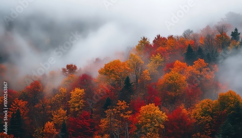 Misty Autumn Forest with Colorful Trees and Fog