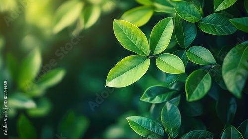 Nature of green leaf in garden at summer. Natural green leaves plants using as spring background cover page greenery environment ecology wallpaper