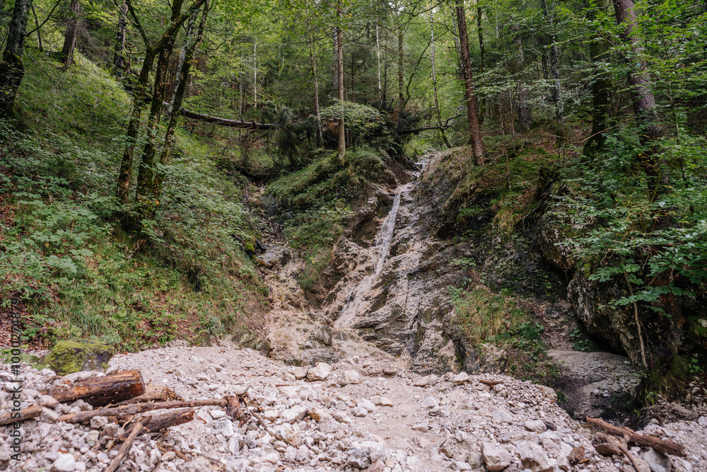 A small waterfall flows down a rocky hillside surrounded by lush greenery in a forested area in Bavaria, Germany, with fallen logs and stones in the foreground.. A small waterfall flows down a rocky hillside surrounded by lush greenery in a forested area in Bavaria, Germany, with fallen logs and stones in the foreground..
