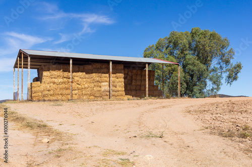 Hay Storage Structure: Bales Under Roof and Blue Sky.