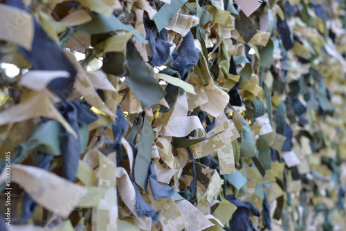 close up of bark