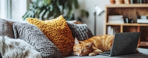 Wallpaper Mural A cozy living room scene featuring a sleeping cat on a sofa with colorful pillows and a laptop nearby, perfect for relaxation. Torontodigital.ca