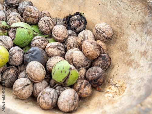 harvested walnuts in a wooden trough photo