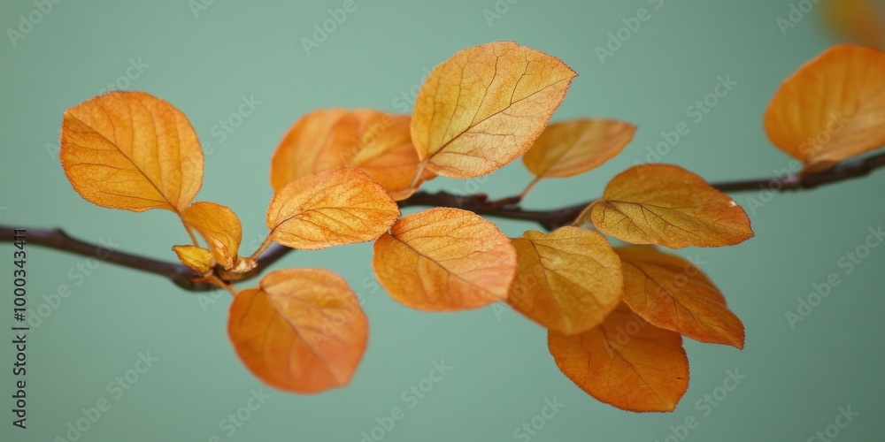 A close-up of golden autumn leaves clinging to a thin branch with a soft green background, capturing the essence of fall. A close-up of golden autumn leaves clinging to a thin branch with a soft green background, capturing the essence of fall.