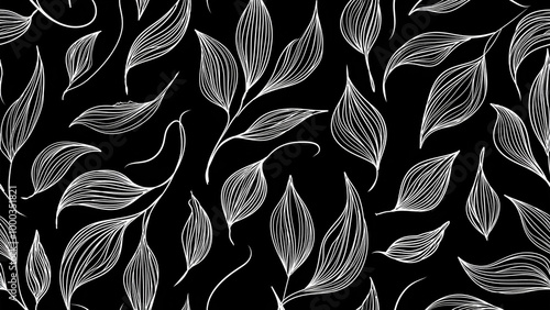 black and white background