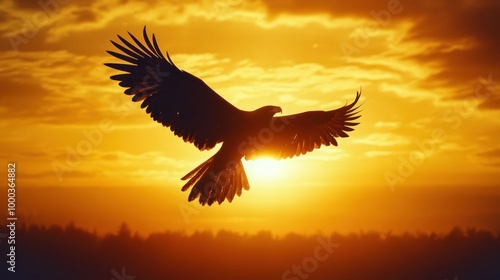 Silhouette of an Eagle Soaring Through a Sunset Sky