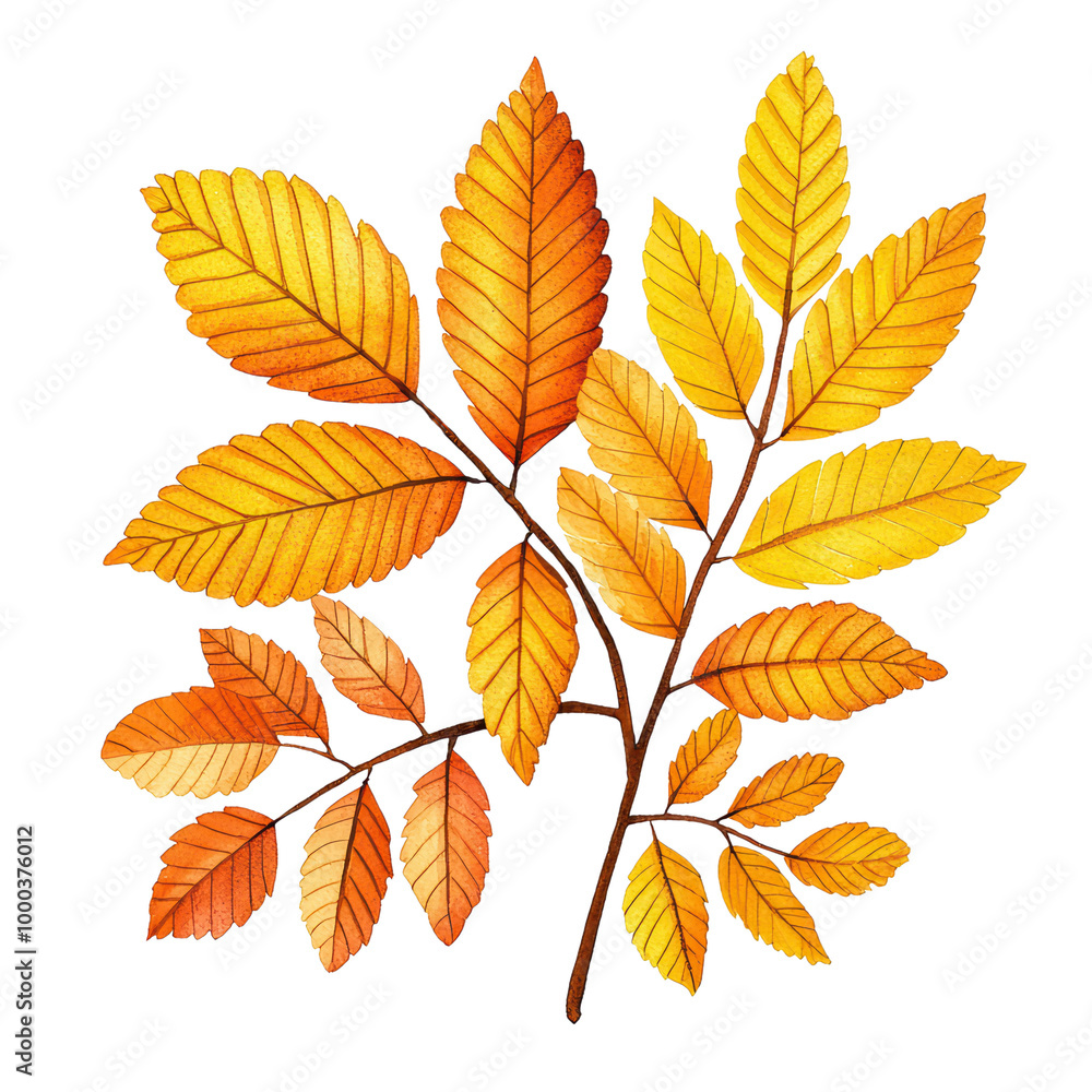 Colorful autumn leaves arranged on a branch, vibrant hues of yellow and orange against isolated on transparent background. Colorful autumn leaves arranged on a branch, vibrant hues of yellow and orange against isolated on transparent background.