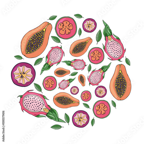 Delicious tropical fruits in the shape of a circle. Vector hand drawing, papaya, pitaya, caimito, guava