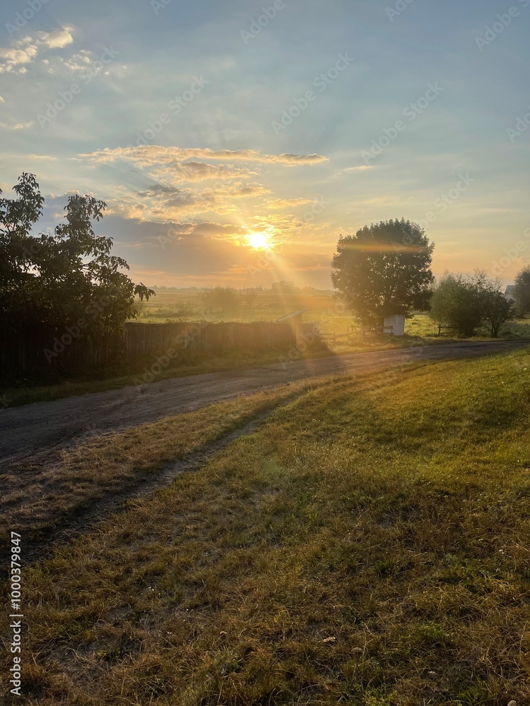 sunrise in the field sunrise in the field