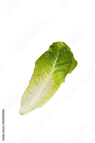 Isolated Romaine Lettuce Leaf On White Background photo