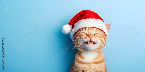 happy cat in a New Year's red cap on a blue background. cute cat waiting for the holiday. Santa Claus hat. New Year banner with place for text. cheerful pet