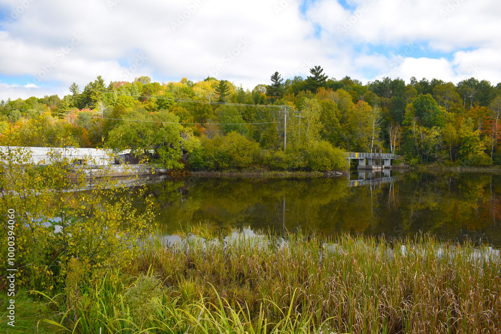 Fototapeta premium Marais Kingsbury 28 Septembre 2024