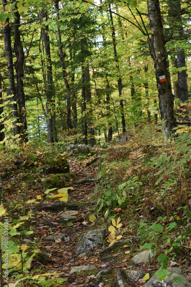 Obraz premium Marais Kingsbury 28 Septembre 2024