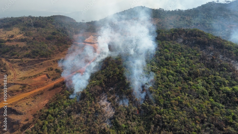 Fototapeta premium Incêndio florestal