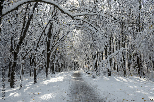 Winter panorama of South Park in city of Sofia, Bulgaria