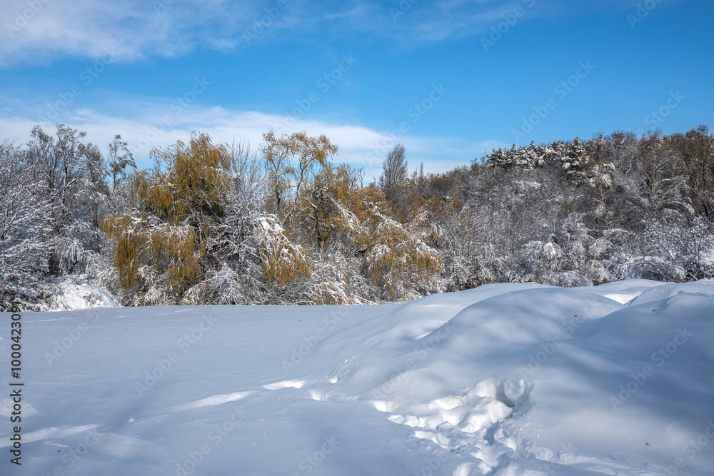 Winter panorama of South Park in city of Sofia, Bulgaria Winter panorama of South Park in city of Sofia, Bulgaria