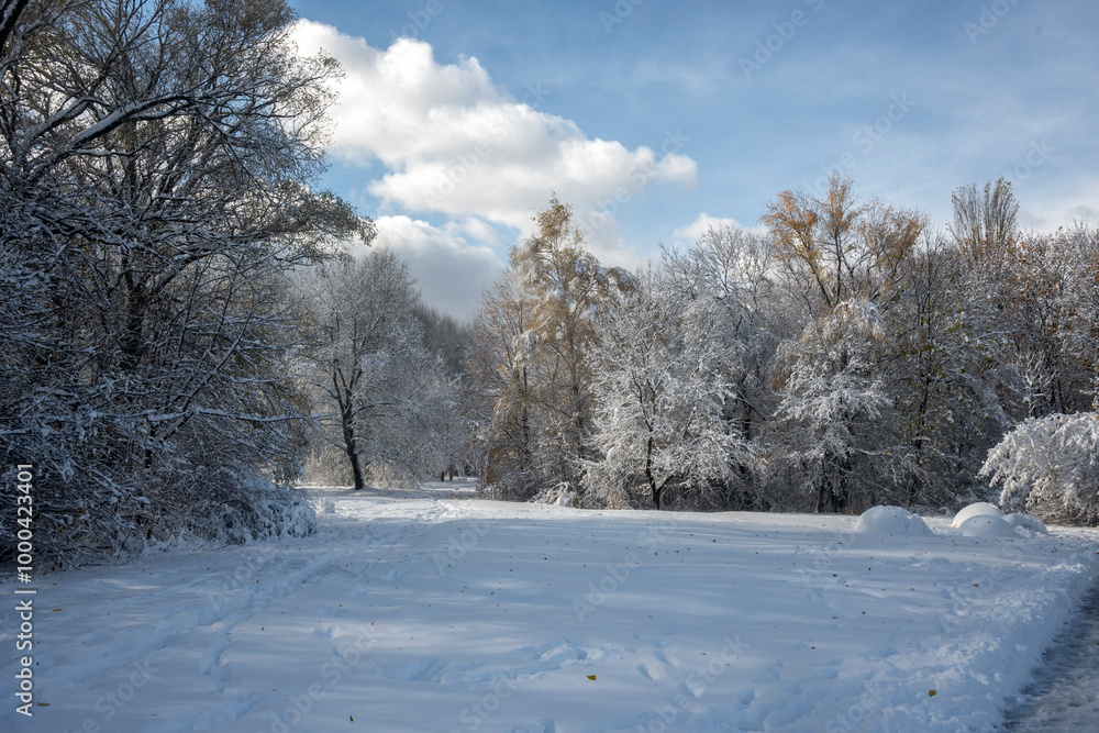 Winter panorama of South Park in city of Sofia, Bulgaria Winter panorama of South Park in city of Sofia, Bulgaria