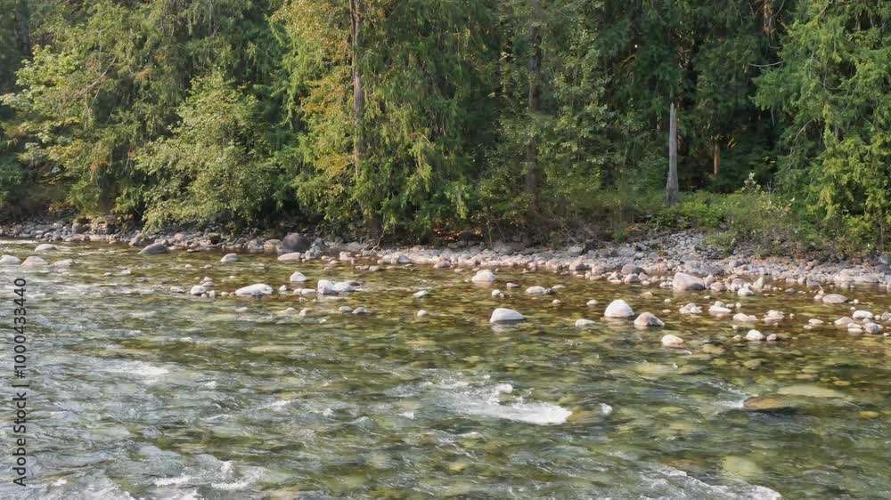 Chilliwack River (pan left) during a summer season in Chilliwack, British Columbia, Canada Chilliwack River (pan left) during a summer season in Chilliwack, British Columbia, Canada
