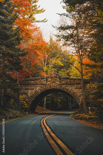 Scenic Road New England Fall Foliage Acadia National Park Carriage Roads Fall Foliage Autumn Stone Bridge Beautiful Colorful Nature Paved Street USA
