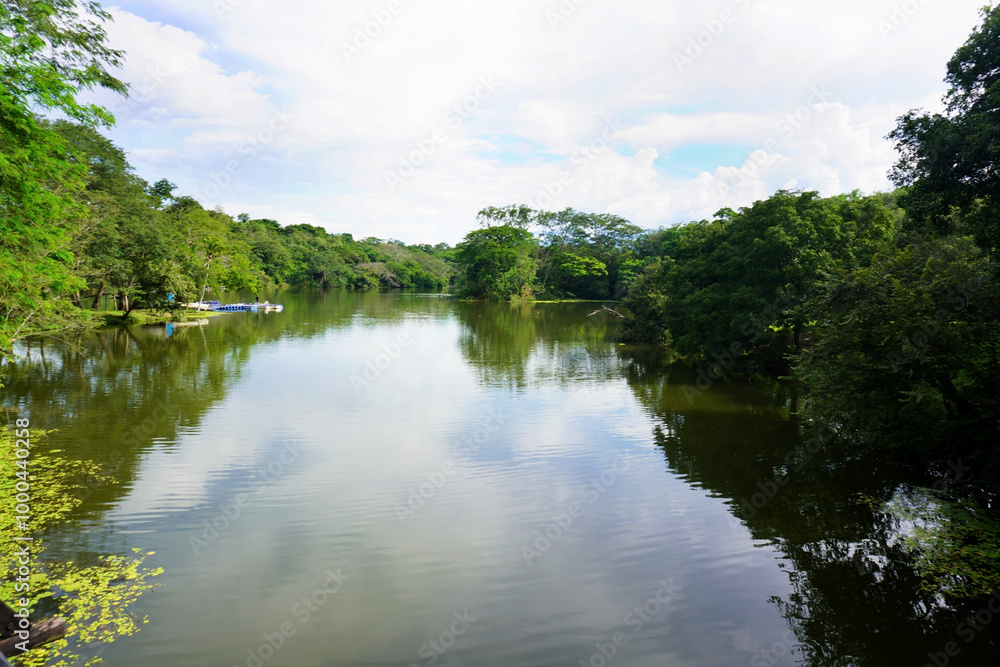 Landscape of a lake with aquatic plants and a wooded environment near Sopetrán, Antioquia. Landscape of a lake with aquatic plants and a wooded environment near Sopetrán, Antioquia.