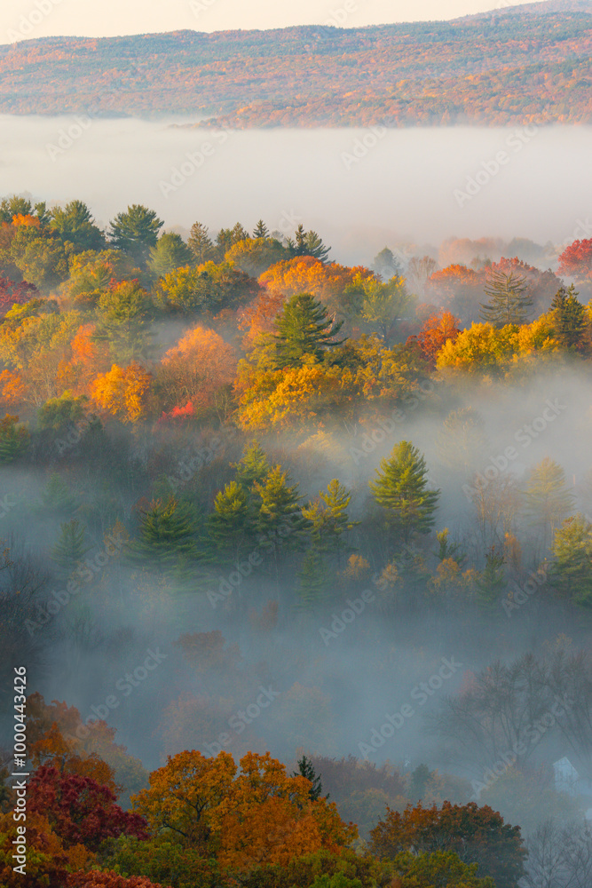 Beautiful Fog Covered Forest in Autumn New England. Sunrise Light Early Morning Low Clouds in Colorful Fall Foliage Trees Epic Landscape Colorful Beautiful Fog Covered Forest in Autumn New England. Sunrise Light Early Morning Low Clouds in Colorful Fall Foliage Trees Epic Landscape Colorful
