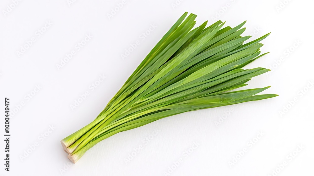 Leeks on solid white background, single object Leeks on solid white background, single object